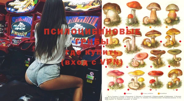 прущие крисы Елабуга