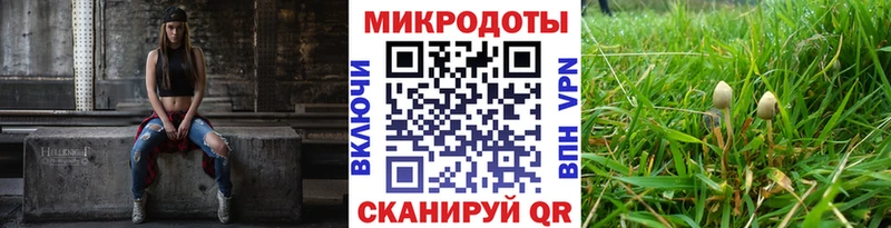 купить закладку Губкин Псилоцибиновые грибы MAGIC MUSHROOMS