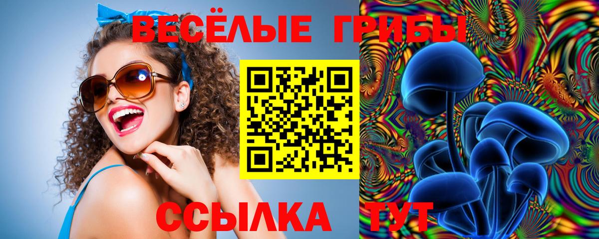 Галлюциногенные грибы Magic Shrooms Губкин