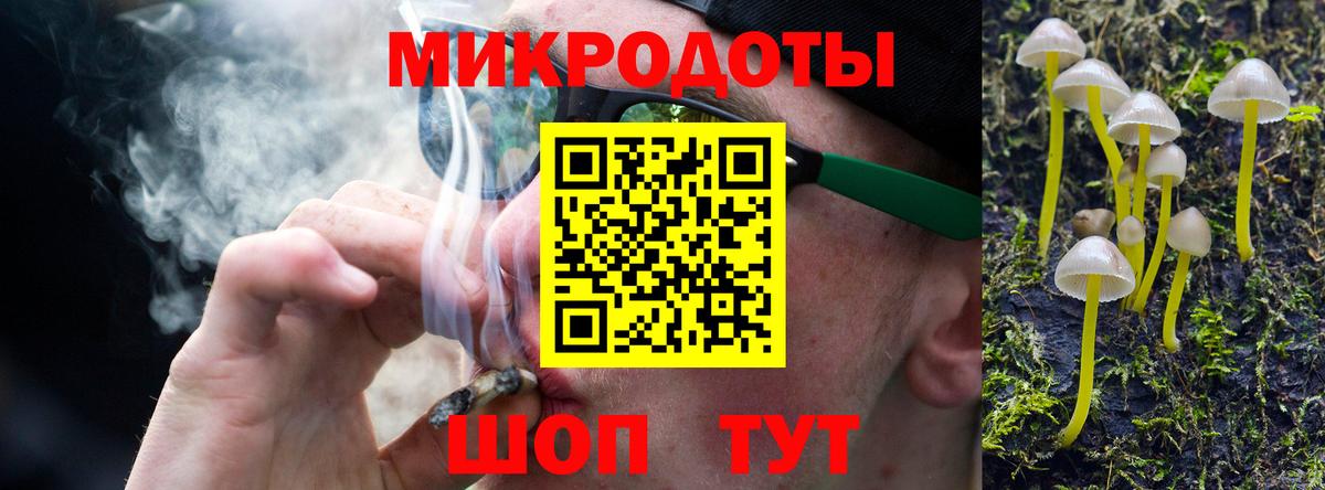 Галлюциногенные грибы прущие грибы  Губкин  Псилоцибиновые грибы MAGIC MUSHROOMS 