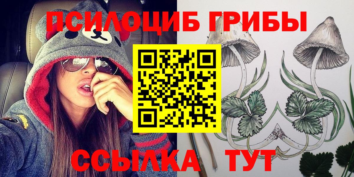 Галлюциногенные грибы Psilocybine cubensis Губкин