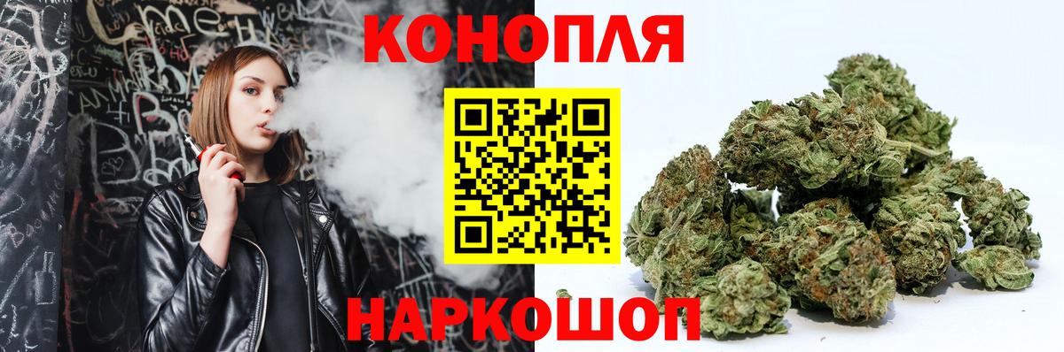 Бошки марихуана ГИДРОПОН Губкин